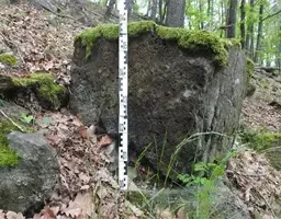 Ein mit Moos bedeckter Steinblock mit einem Messstab, der daran angebracht ist, in einem bewaldeten Gebiet mit verstreuten Felsen und gefallenen Blättern.