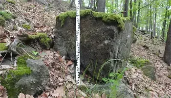 Ein mit Moos bedeckter Steinblock mit einem Messstab, der daran angebracht ist, in einem bewaldeten Gebiet mit verstreuten Felsen und gefallenen Blättern.