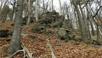 Ein Wald mit einer Ansammlung von Felsen, die mit Herbstlaub bedeckt sind. Die Bäume haben meist kahle Äste. Der Boden ist mit trockenem Laub bedeckt.