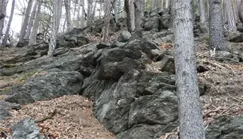 Ein felsiger Hang mit einem schmalen Pfad, umgeben von Bäumen und gefallenen Blättern. Die Felsen variieren in der Größe, und der Pfad scheint ein natürlicher Weg durch den Wald zu sein.