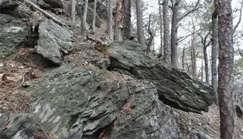 Ein felsiger Hang, bedeckt mit Bäumen, mit großen Steinen und gefallenen Blättern auf dem Boden.