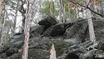 Ein felsiger Hügel mit Bäumen und umgestürzten Felsen, die Bäume haben kahle Äste und der Boden ist mit Steinen bedeckt.