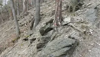 Ein felsiger Hang mit verstreuten Bäumen und gefallenen Blättern, mit einer großen Felsformation und einem Baumstamm, der teilweise im Boden vergraben ist.