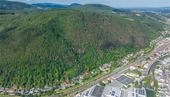 Luftaufnahme eines bewaldeten Hügels mit braunen Flecken, die Baumverluste anzeigen, hinunter zu einer Stadt mit Wohnhäusern, einer Fabrik und einem Fluss.