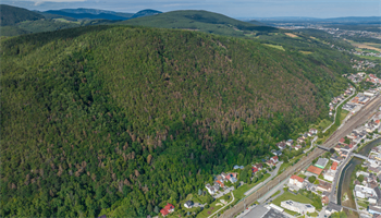 Luftaufnahme eines bewaldeten Hügels mit sichtbaren Baumschäden. In der Nähe befinden sich mehrere Wohnhäuser und eine Autobahn.