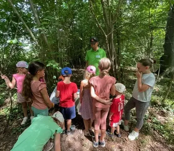 Eine Gruppe von Kindern in Mützen und Turnschuhen steht in einem Wald und hört einem Mann in einem grünen Shirt zu. Einige halten Stöcke und sehen neugierig aus.