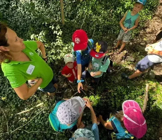 Eine Frau und mehrere Kinder in einem grünen Shirt sehen sich etwas im Wald an.