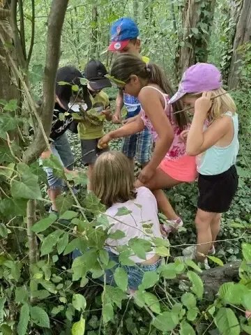 Eine Gruppe von Kindern erkundet einen Wald, betrachtet Pflanzen und Insekten, und einer hält einen Stock.