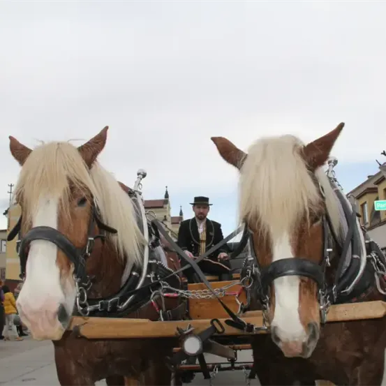 Ein Mann fährt eine Kutsche, die von zwei braunen Pferden gezogen wird. Die Pferde haben weiße Mähnen und Zaumzeug. Der Mann trägt einen schwarzen Hut und Mantel. Im Hintergrund stehen Gebäude und Menschen.