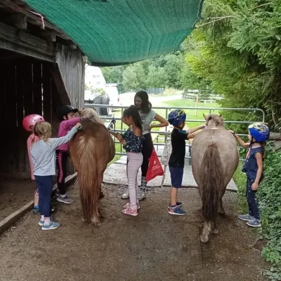 Eine Gruppe von Kindern steht um zwei Pferde herum und trägt Helme. Sie scheinen die Pferde in einem eingezäunten Bereich zu bürsten.