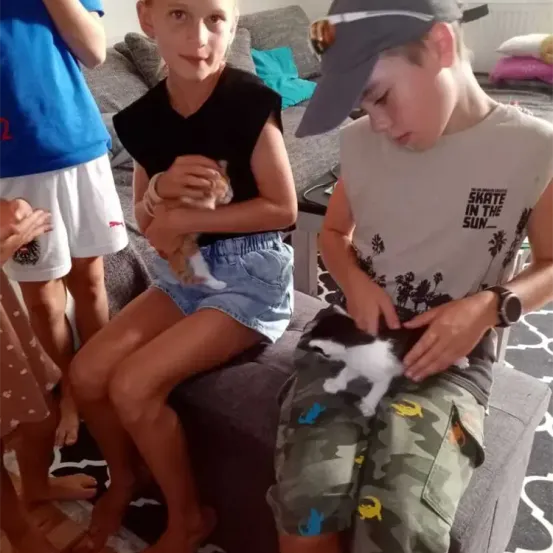 Eine Gruppe von Kindern, darunter ein Junge und ein Mädchen, sitzen zusammen auf einer Couch. Das Mädchen hält ein kleines orangefarbenes Kätzchen und der Junge streichelt ein schwarz-weißes Kätzchen.