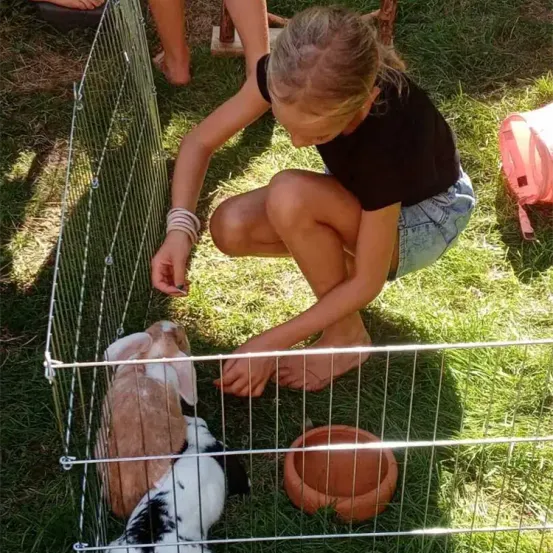 Ein junges Mädchen hockt sich neben einen Metallkäfig und füttert zwei Kaninchen darin. Der Käfig steht auf einem Grasfeld, mit einem kleinen Tontopf in der Nähe.