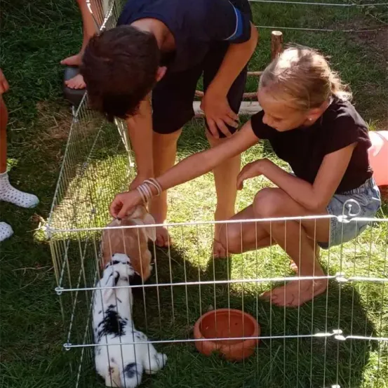 Zwei Kinder streicheln einen Hasen in einem Käfig an einem sonnigen Tag. Das Mädchen kniet, während der Junge steht. Der Hase ist in einem Metallkäfig.