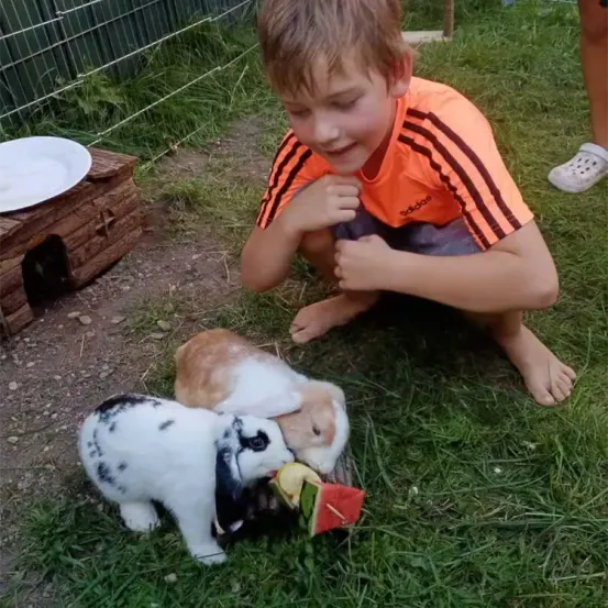 Ein junger Junge füttert zwei Kaninchen mit Wassermelone auf einer Grasfläche. Ein Kaninchen ist braun und weiß, das andere ist schwarz und weiß.