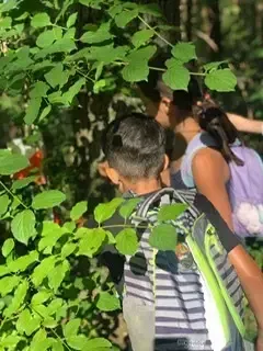 Drei Kinder erkunden einen Wald. Ein Junge mit Rucksack schaut durch grüne Blätter, während ein Mädchen hinter ihm einen lila Rucksack trägt.