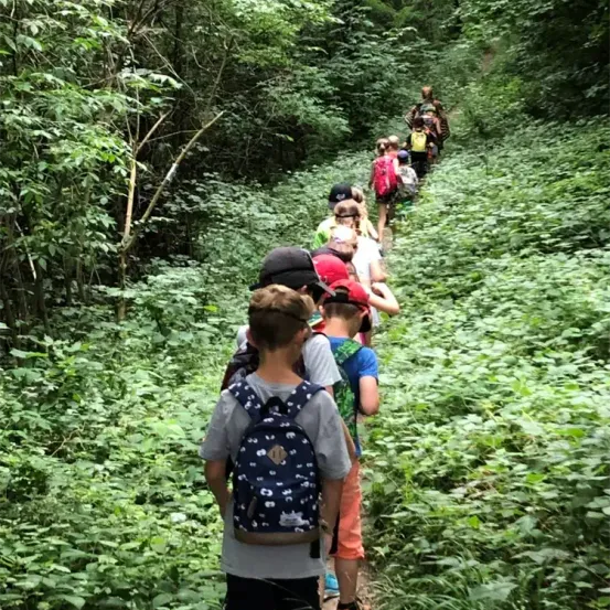 Eine Gruppe von Kindern mit Rucksäcken wandert auf einem schmalen Pfad durch einen dichten Wald. Sie gehen in einer Reihe und der Weg ist von Grün umgeben.