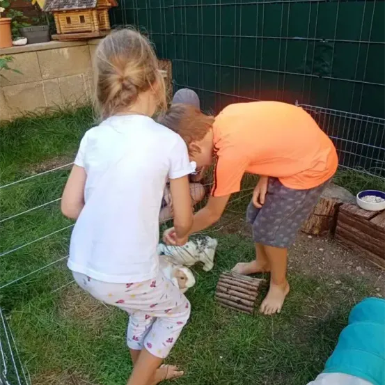 Zwei Kinder spielen mit einem kleinen Tier im Garten, mit einem Drahtzaun im Hintergrund. Der Junge beugt sich vor und hält das Tier.