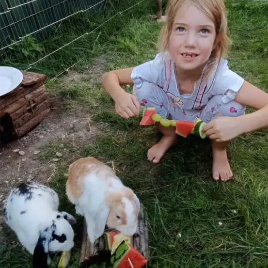Ein kleines Mädchen füttert zwei Kaninchen in einem eingezäunten Außenbereich mit Wassermelone und Gurke. Die Kaninchen sitzen auf dem Gras.