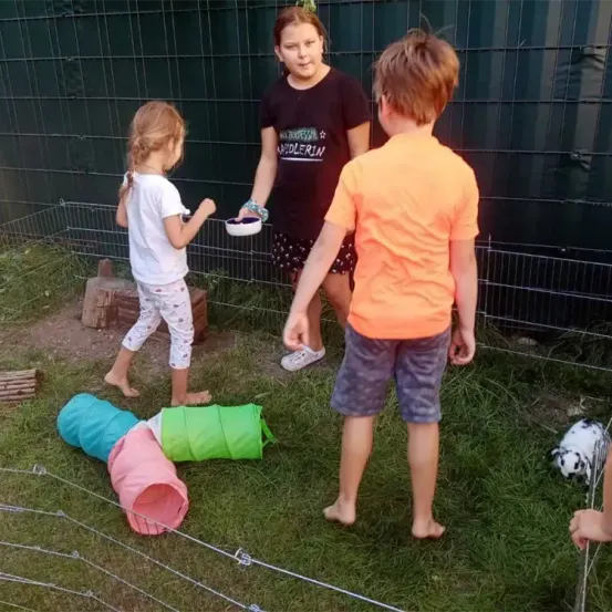 Drei Kinder spielen im Garten mit einem Kaninchen. Ein Mädchen in Weiß füttert das Kaninchen aus einer Schüssel. Ein älteres Mädchen in Schwarz und ein älterer Junge in Orange beobachten.