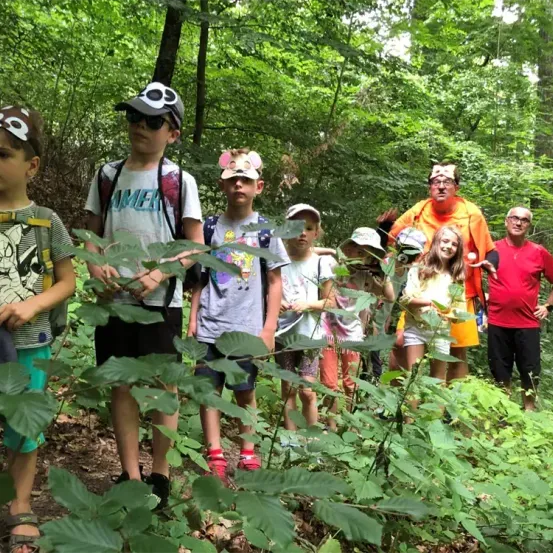 Eine Gruppe von Kindern und Erwachsenen steht in einem Wald, trägt Hüte und hält Pflanzen. Sie scheinen auf einem Naturspaziergang zu sein.