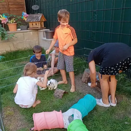 Vier Kinder und ein Erwachsener sind in einem Hinterhof mit einem eingezäunten Bereich. Die Kinder interagieren mit kleinen Tieren in der Box.
