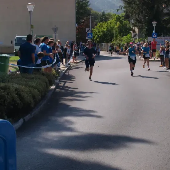 Läufer nehmen an einem Marathon teil, während Zuschauer sie anfeuern. Die Straße ist mit Büschen und Straßenlaternen gesäumt.