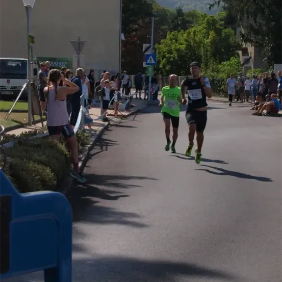 Marathonläufer sind auf der Straße mit Nummern auf ihren Trikots. Zuschauer stehen am Straßenrand. Es gibt Pflanzen und eine Straßenlaterne am Straßenrand.