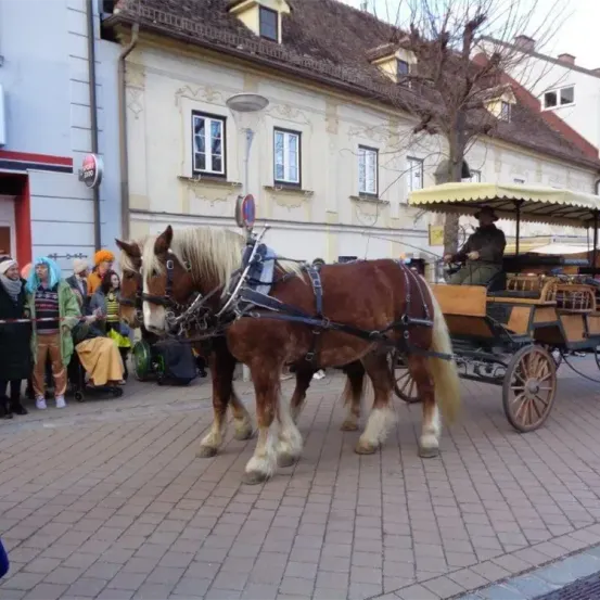 Zwei braune Pferde ziehen eine Kutsche auf einer Kopfsteinpflasterstraße mit einem Fahrer und Menschen in farbenfrohen Kostümen stehend in der Nähe.