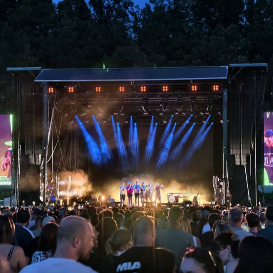 Eine Band tritt auf einer Bühne mit blauen Lichtern vor einem Publikum auf. Rauch und Beleuchtung erhellen die Bühne. Bäume sind im Hintergrund.
