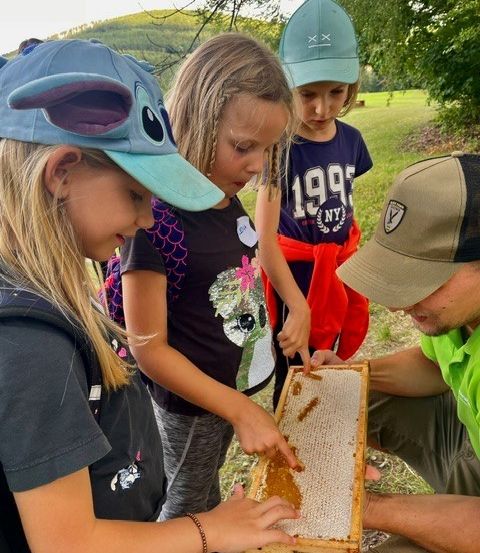 Vier Kinder und ein erwachsener Mann sind draußen und untersuchen einen Holzbienenstock. Die Kinder tragen Hüte und Turnschuhe, und der Mann trägt ein grünes Hemd und eine Baseballkappe. Die Kinder zeigen auf den Bienenstock.