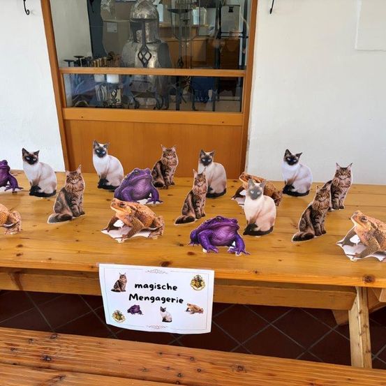Ein Holztisch mit Ausschnitten von Katzen und Fröschen, ein Schild auf Deutsch steht 'magische Menagerie'. Hinter dem Tisch ist eine Glastür mit Blick auf einen Raum mit verschiedenen Gegenständen.