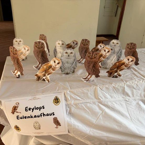 Ein mit einem weißen Tuch bedeckter Tisch zeigt eine Sammlung von Eulenfiguren, jede mit einem Schild, das 'Eeylops Eulenkauffhaus' besagt. Die Eulen sind in einer Reihe angeordnet, einige stehen, andere sitzen. Der Raum hat einen Holzboden und eine weiße Wand.