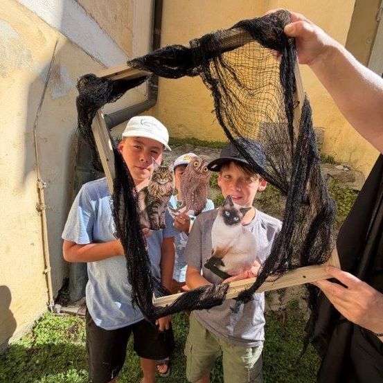 Vier Kinder halten ein Netz mit Bildern von Katzen und Eulen davor ein Gebäude.