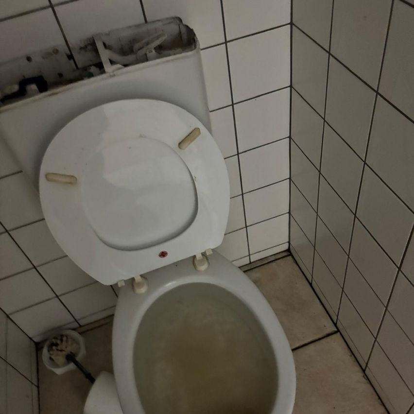 Eine leere weiße Toilette mit offenem Deckel in einer Badezimmerecke. Die Wände sind mit Fliesen bedeckt, und eine Toilettenbürste befindet sich in der Nähe.