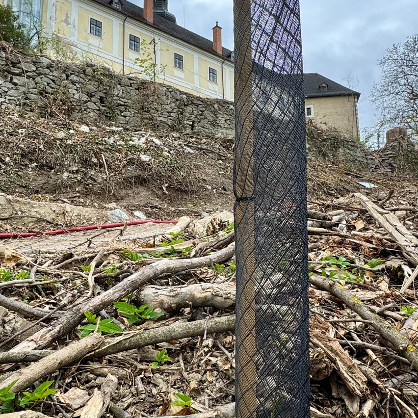 Ein Steinmauer befindet sich neben einem Gebäude mit einem Schornstein. Ein roter Schlauch liegt auf dem Boden mit Ästen und Pflanzen. Ein Baumstamm ist mit einem schwarzen Netz bedeckt.