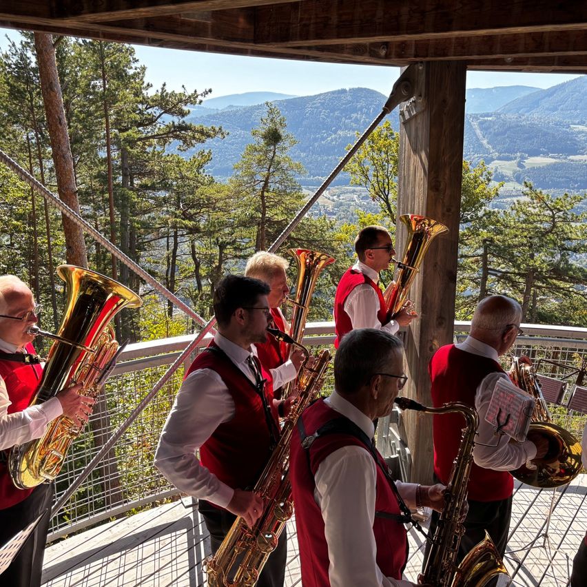 Blaskapelle spielt in Tracht im Wald mit Bergpanorama im Hintergrund