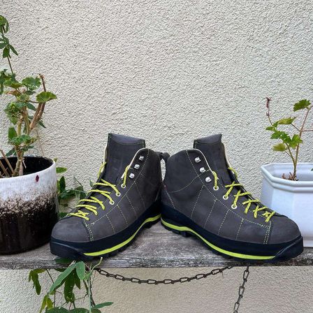 Bild enthält, Clothing, Footwear, Plant, Potted Plant, Shoe, Sneaker, Jar, Planter, Pottery, Vase