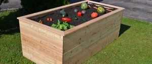 Bild enthält, Jar, Planter, Potted Plant, Pottery, Vase, Interior Design, Box, Fruit, Produce, Grass