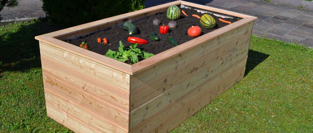 Bild enthält, Jar, Planter, Potted Plant, Pottery, Vase, Interior Design, Box, Fruit, Produce, Grass