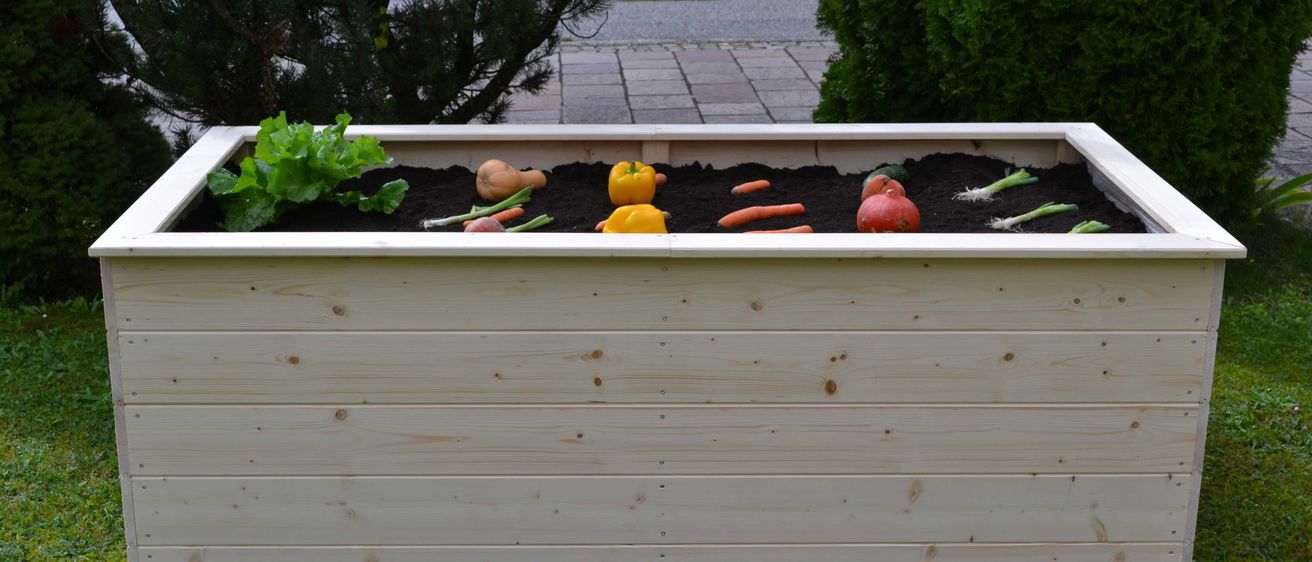 Bild enthält, Jar, Planter, Potted Plant, Pottery, Vase, Interior Design, Backyard, Outdoors, Garden, Grass