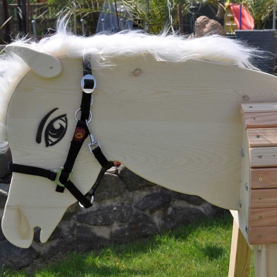 Bild enthält, Wood, Animal, Horse, Mammal, Grass, Plant