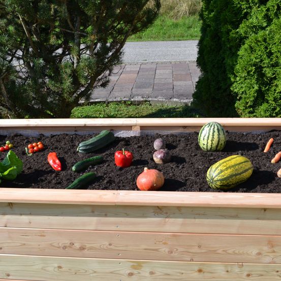 Bild enthält, Potted Plant, Food, Fruit, Produce, Planter, Pottery, Outdoors, Squash, Candle