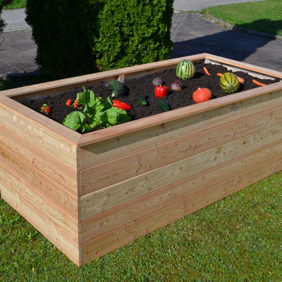 Bild enthält, Jar, Planter, Potted Plant, Pottery, Vase, Interior Design, Grass, Box, Outdoors, Wood