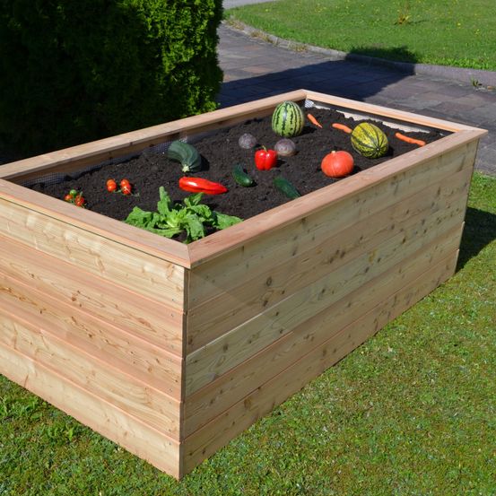 Bild enthält, Jar, Planter, Potted Plant, Pottery, Vase, Interior Design, Box, Fruit, Produce, Grass