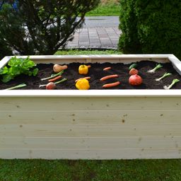 Bild enthält, Jar, Planter, Potted Plant, Pottery, Vase, Backyard, Interior Design, Grass, Soil, Tub
