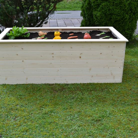 Bild enthält, Jar, Planter, Potted Plant, Pottery, Vase, Grass, Interior Design, Backyard, Tub, Lawn