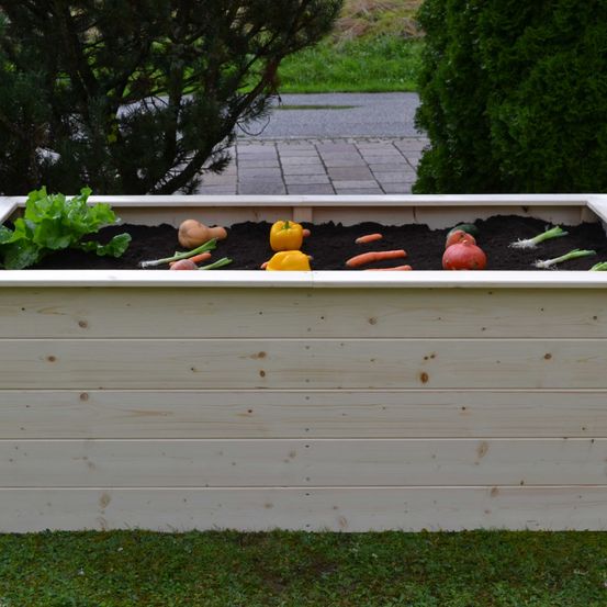 Bild enthält, Jar, Planter, Potted Plant, Pottery, Vase, Interior Design, Backyard, Outdoors, Garden, Grass