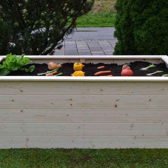 Bild enthält, Jar, Planter, Potted Plant, Pottery, Vase, Interior Design, Backyard, Outdoors, Grass, Garden