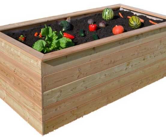 Bild enthält, Jar, Plant, Planter, Potted Plant, Pottery, Vase, Hot Tub, Box