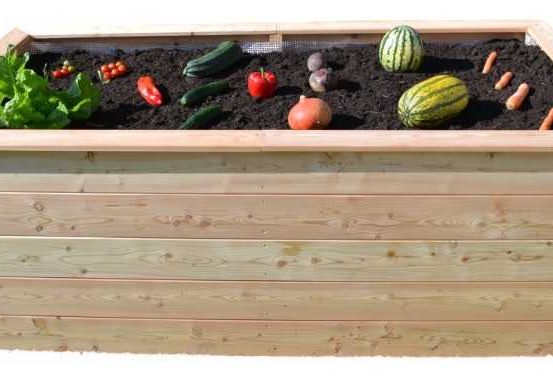 Bild enthält, Jar, Planter, Potted Plant, Pottery, Vase, Box, Food, Produce